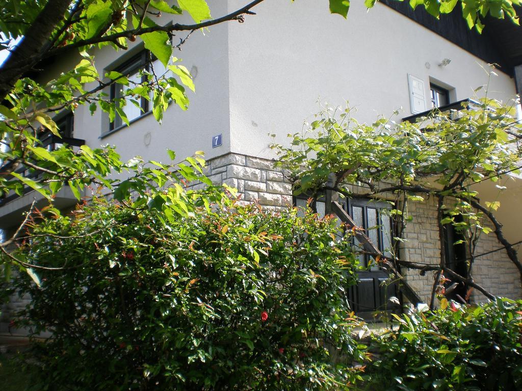 Apartment Vi&Mi Slunj Buitenkant foto